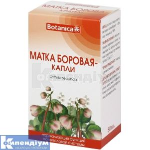 МАТКА БОРОВА — КРАПЛІ 50 мл, № 1; Ботаніка