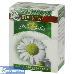 Иван-чай ромашковый (Ivan-tea chamomile)