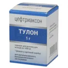 Тулон 1 г