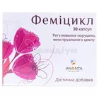 Феміцикл