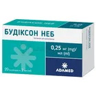 Будіксон Неб