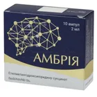 Амбрія