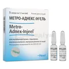 Метро-Аднекс-Ін'єль