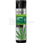 ШАМПУНЬ ДЛЯ ВОЛОССЯ серії "DR.SANTE CANNABIS HAIR"