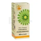 ARBOR VITAE ОЛІЯ ЕФІРНА