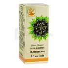 ARBOR VITAE ОЛІЯ ЕФІРНА