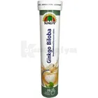 Sunlife Ginkgo Biloba