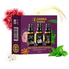 Набор эфирных масел "Достаток через дыхание" тм "Aroma Kraina"