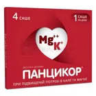 Панцикор