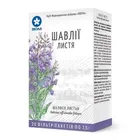 Шалфея листья