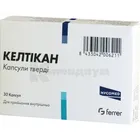 Келтикан