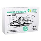 Мумие очищенное