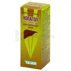 Холагол