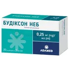Будиксон Неб