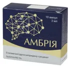 Амбрия