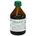 Эвкалипт