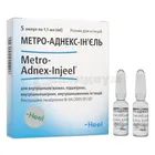 Метро-Аднекс-Инъель