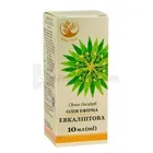 ARBOR VITAE МАСЛО ЭФИРНОЕ