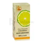 ARBOR VITAE МАСЛО ЭФИРНОЕ