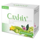 Сахнил