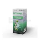 Носинус