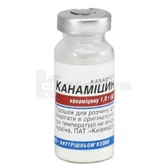 Канаміцин порошок для розчину для ін'єкцій 1 г флакон  №1