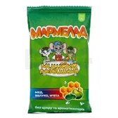 Мармелад фруктовий "Мишака Розбишака" мед-яблуко-м'ята мармелад 50 г тм Baum Pharm  №1