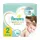 ПІДГУЗНИКИ ДИТЯЧІ PAMPERS PREMIUM CARE