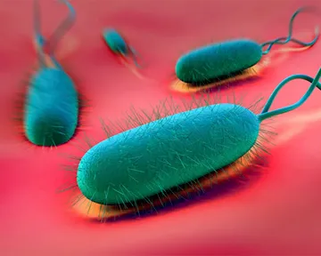 Вонопразан — новый препарат для эрадикации <i>Helicobacter pylori</i>
