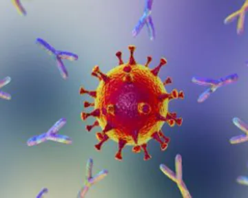 «GSK» и «Vir Biotechnology» переходят к фазе 3 исследований антител против COVID-19