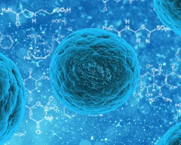 Антиандрогенна терапія в боротьбі з COVID-19: результати нового дослідження