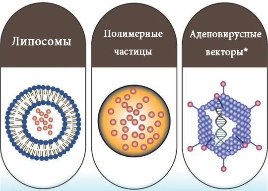 Субъединичная или векторная? В капсуле или спрее? Разработка вакцин от COVID-19 2-го поколения