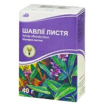 Шавлії листя листя, 40 г, пачка, з внутрішн. пакетом, з внутр. пакетом, № 1; Лубнифарм