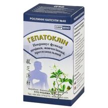 Гепатоклин капсулы, № 40; Fito Pharma