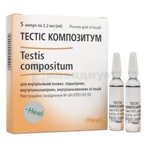 Тестис Композитум (Testis Compositum)