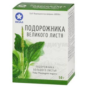 Подорожник большой (Plantaginis)