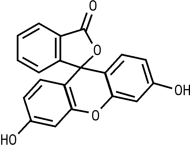ФЛЮОРЕСЦЕИН* (FLUORESCEINUM*)