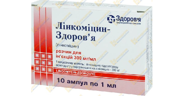 ЛИНКОМИЦИН-ЗДОРОВЬЕ инструкция по применению, цена в аптеках Украины ...
