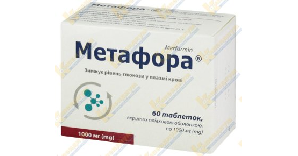 Метафора журка растерянно оглядел полки