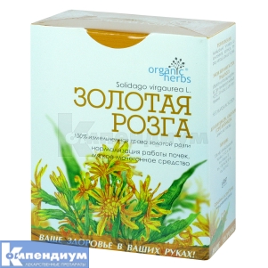 Фиточай Золотая розга (Fitotea Solidago)
