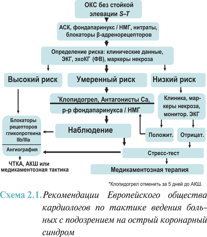 Руководство гомеопатического лечения