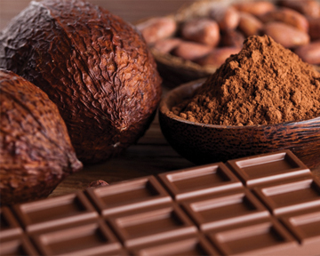 Повышенное артериальное давление снизят флавонолы какао?